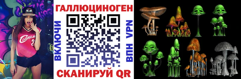 Псилоцибиновые грибы Magic Shrooms где купить наркоту дарк нет телеграм Пятигорск